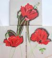 Coquelicots sauvages