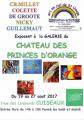 Exposition à la galerie du Château des Princes d'Orange 2017